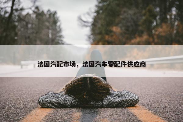 法国汽配市场，法国汽车零配件供应商
