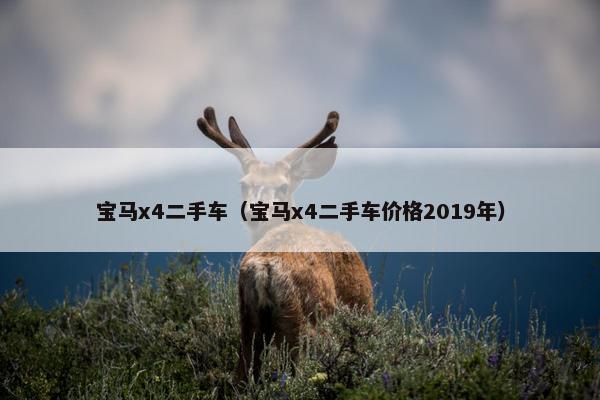 宝马x4二手车（宝马x4二手车价格2019年）