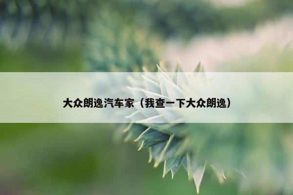 大众朗逸汽车家（我查一下大众朗逸）