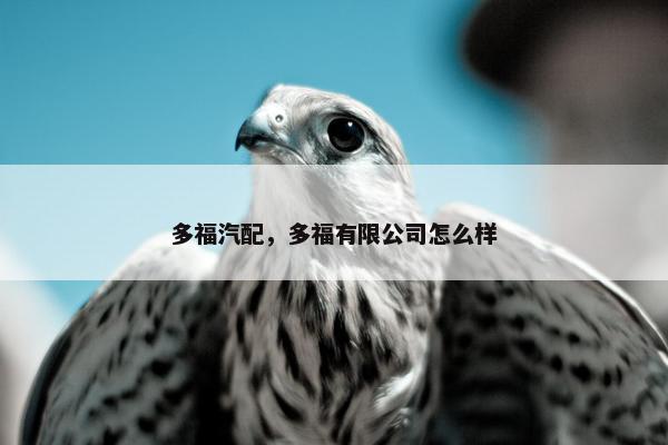 多福汽配，多福有限公司怎么样