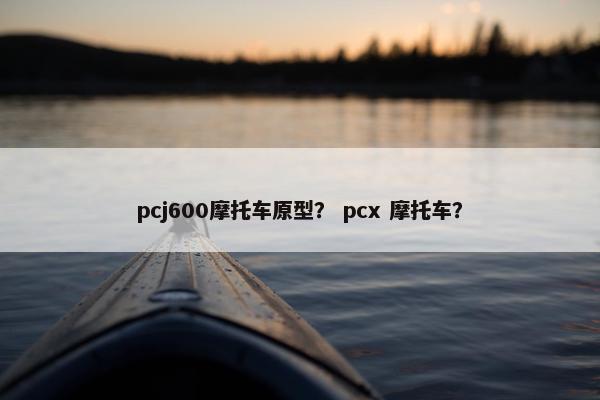 pcj600摩托车原型？ pcx 摩托车？