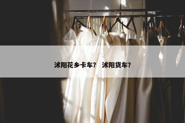 沭阳花乡卡车？ 沭阳货车？