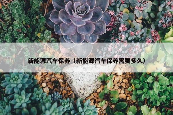新能源汽车保养（新能源汽车保养需要多久）