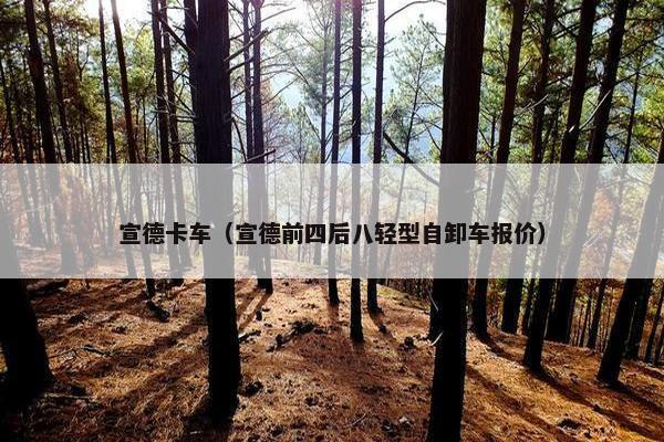宣德卡车（宣德前四后八轻型自卸车报价）