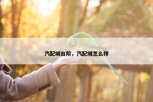 汽配城台阶，汽配城怎么样
