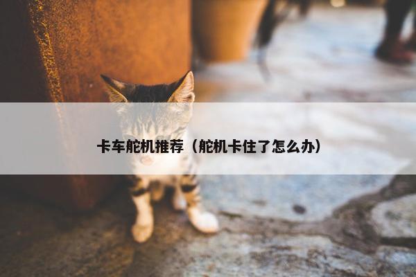 卡车舵机推荐（舵机卡住了怎么办）