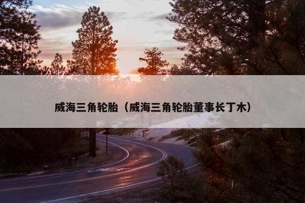 威海三角轮胎（威海三角轮胎董事长丁木）