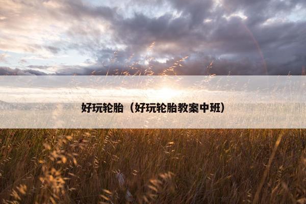 好玩轮胎（好玩轮胎教案中班）