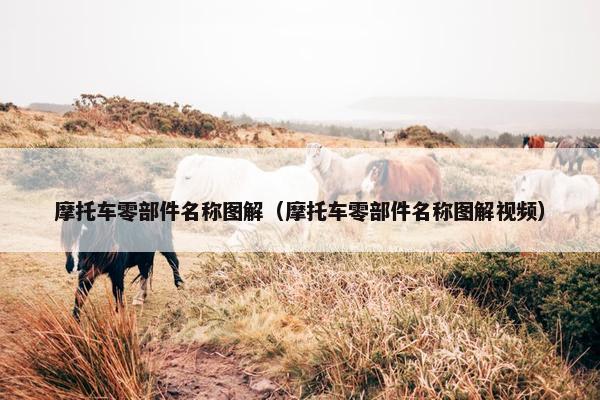 摩托车零部件名称图解（摩托车零部件名称图解视频）