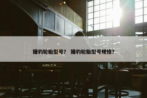 猎豹轮胎型号？ 猎豹轮胎型号规格？