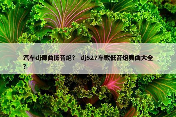 汽车dj舞曲低音炮？ dj527车载低音炮舞曲大全？