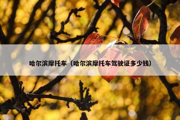 哈尔滨摩托车（哈尔滨摩托车驾驶证多少钱）
