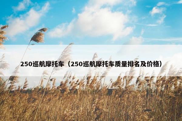 250巡航摩托车（250巡航摩托车质量排名及价格）