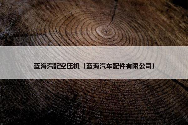 蓝海汽配空压机（蓝海汽车配件有限公司）
