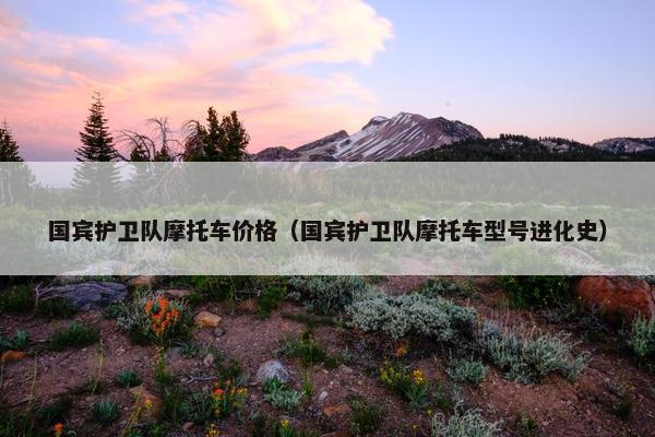 国宾护卫队摩托车价格（国宾护卫队摩托车型号进化史）