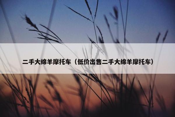 二手大绵羊摩托车（低价出售二手大绵羊摩托车）