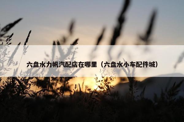 六盘水力帆汽配店在哪里（六盘水小车配件城）