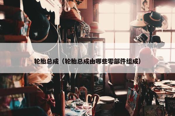 轮胎总成（轮胎总成由哪些零部件组成）