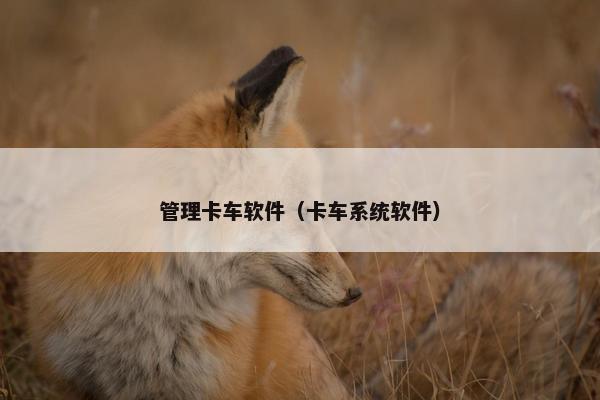 管理卡车软件（卡车系统软件）