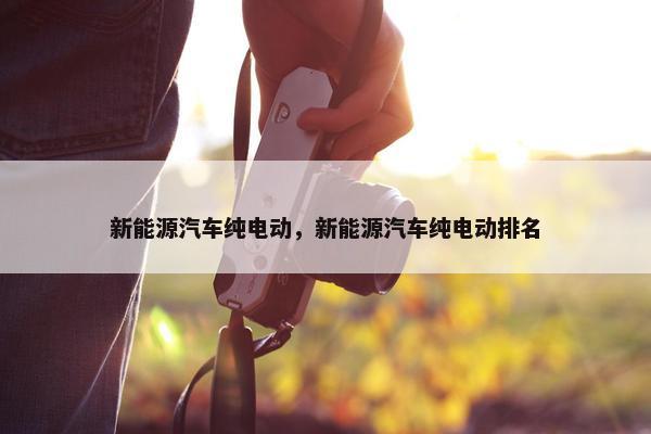 新能源汽车纯电动，新能源汽车纯电动排名