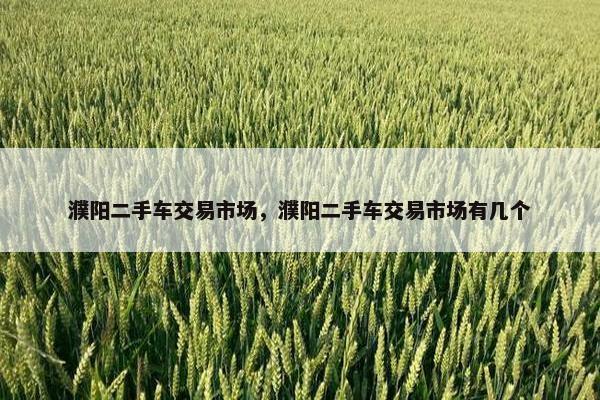 濮阳二手车交易市场，濮阳二手车交易市场有几个