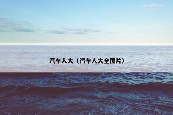 汽车人大（汽车人大全图片）
