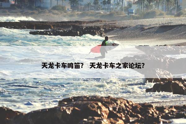 天龙卡车鸣笛？ 天龙卡车之家论坛？
