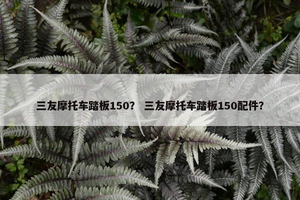 三友摩托车踏板150？ 三友摩托车踏板150配件？
