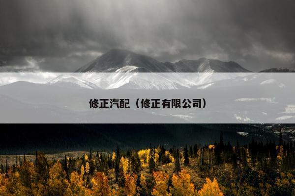 修正汽配（修正有限公司）