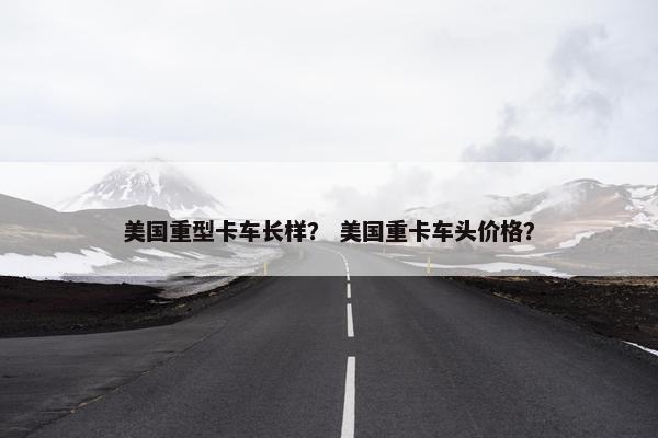 美国重型卡车长样？ 美国重卡车头价格？