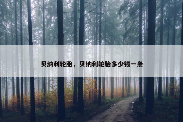 贝纳利轮胎，贝纳利轮胎多少钱一条