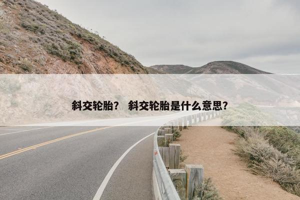 斜交轮胎？ 斜交轮胎是什么意思？