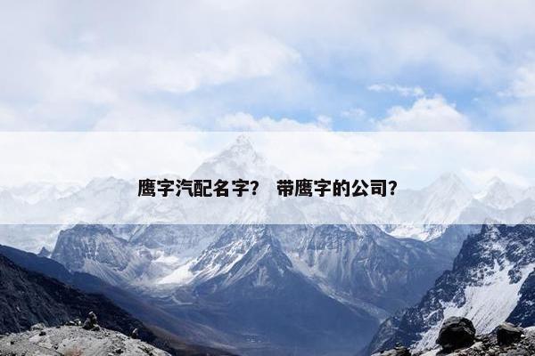鹰字汽配名字？ 带鹰字的公司？