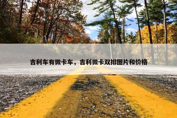 吉利车有微卡车，吉利微卡双排图片和价格