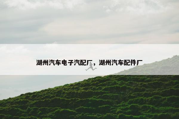 湖州汽车电子汽配厂，湖州汽车配件厂