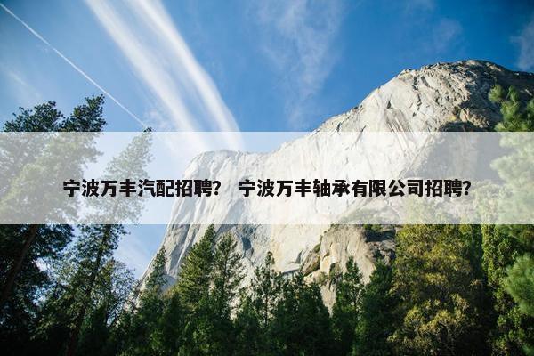 宁波万丰汽配招聘？ 宁波万丰轴承有限公司招聘？