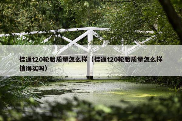 佳通t20轮胎质量怎么样（佳通t20轮胎质量怎么样值得买吗）