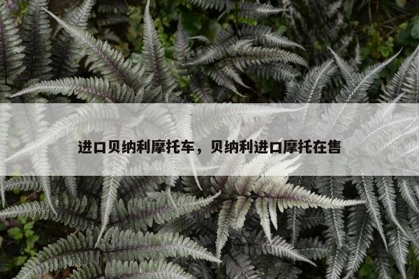 进口贝纳利摩托车，贝纳利进口摩托在售