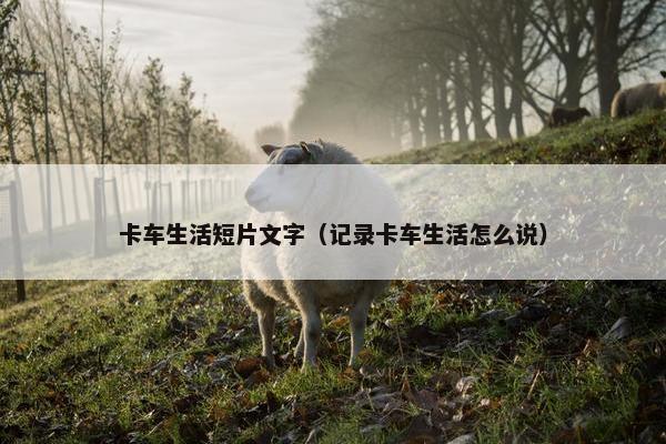 卡车生活短片文字（记录卡车生活怎么说）