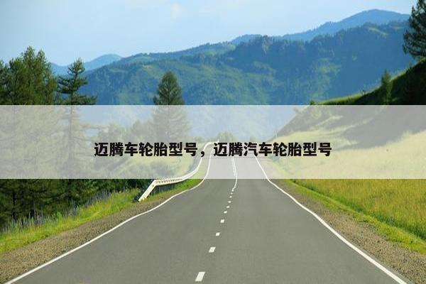 迈腾车轮胎型号，迈腾汽车轮胎型号
