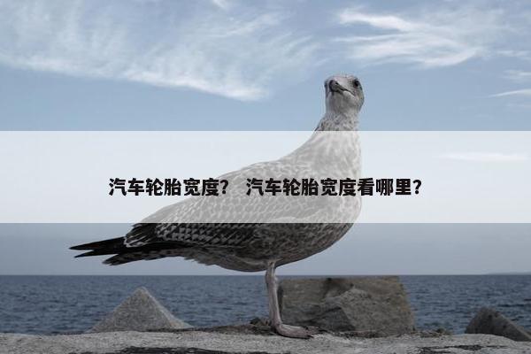 汽车轮胎宽度？ 汽车轮胎宽度看哪里？
