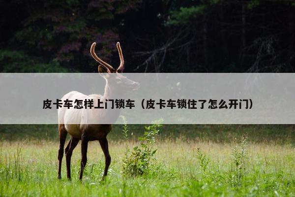 皮卡车怎样上门锁车（皮卡车锁住了怎么开门）