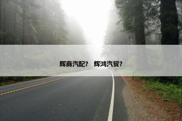 辉商汽配？ 辉鸿汽贸？