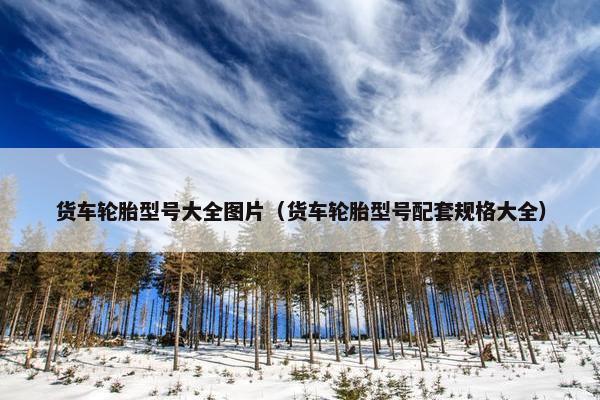 货车轮胎型号大全图片（货车轮胎型号配套规格大全）