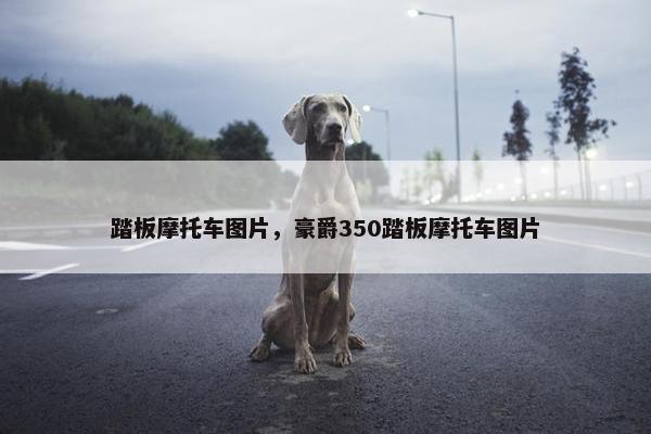 踏板摩托车图片，豪爵350踏板摩托车图片