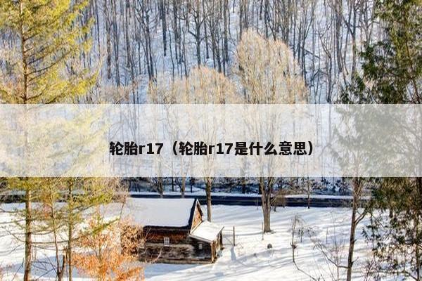 轮胎r17（轮胎r17是什么意思）