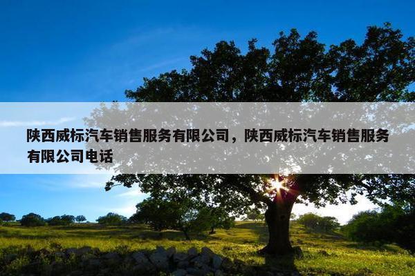 陕西威标汽车销售服务有限公司，陕西威标汽车销售服务有限公司电话