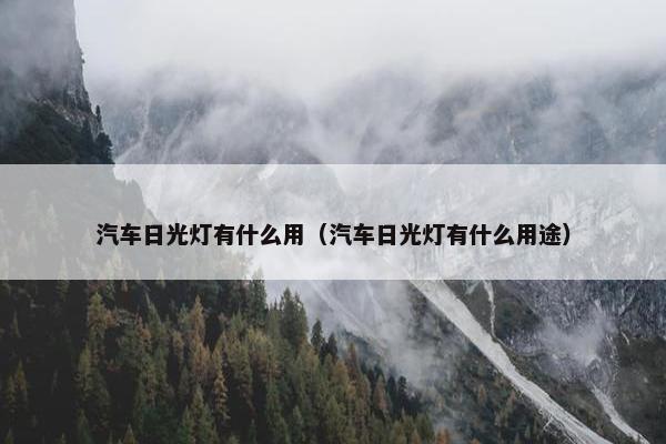 汽车日光灯有什么用（汽车日光灯有什么用途）