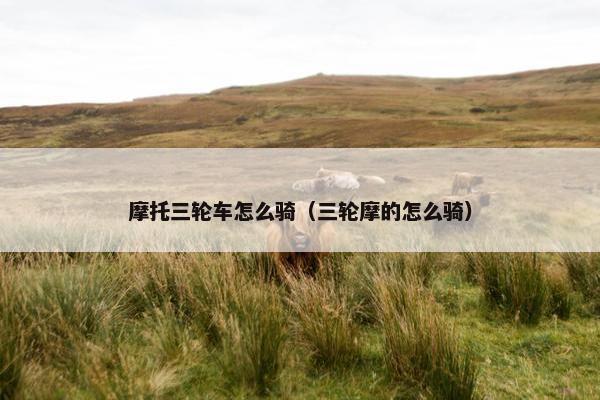 摩托三轮车怎么骑（三轮摩的怎么骑）
