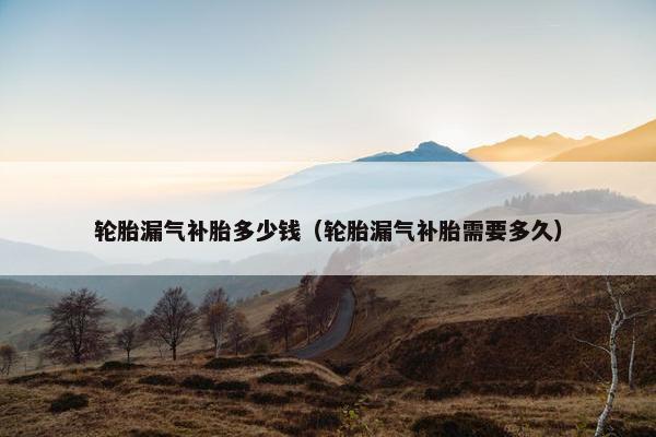 轮胎漏气补胎多少钱（轮胎漏气补胎需要多久）